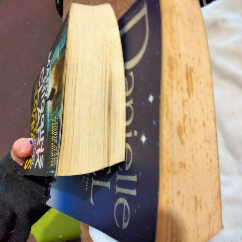 2 Books Author Danielle Steel Until the End of TIME+2013 Mary Higgins Clark2012 Lost Years Pre-owned