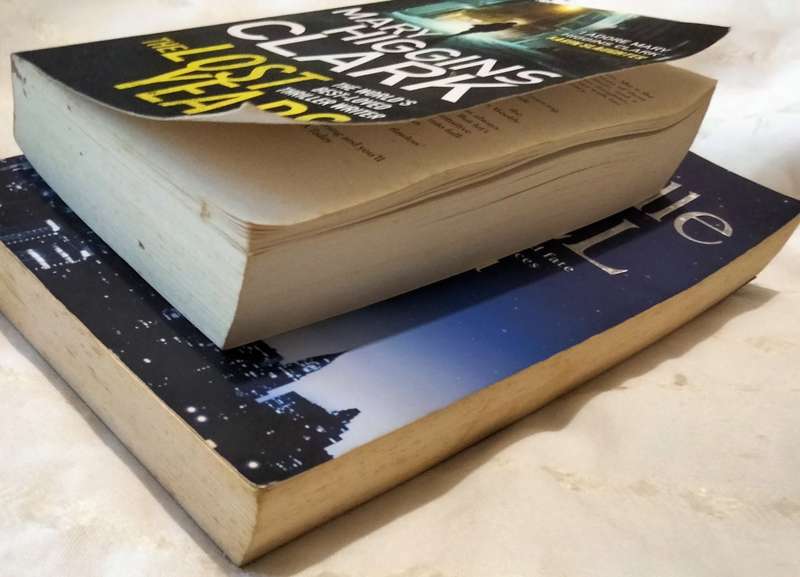 2 Books Author Danielle Steel Until the End of TIME+2013 Mary Higgins Clark2012 Lost Years Pre-owned