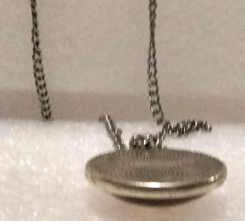 Necklace  image of Giraffe+Baby behind Clear Dome front metal back Pendant+silver tone metal chain