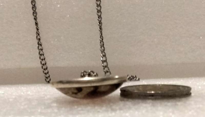 Necklace  image of Giraffe+Baby behind Clear Dome front metal back Pendant+silver tone metal chain