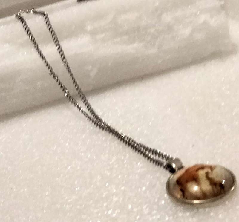 Necklace  image of Giraffe+Baby behind Clear Dome front metal back Pendant+silver tone metal chain
