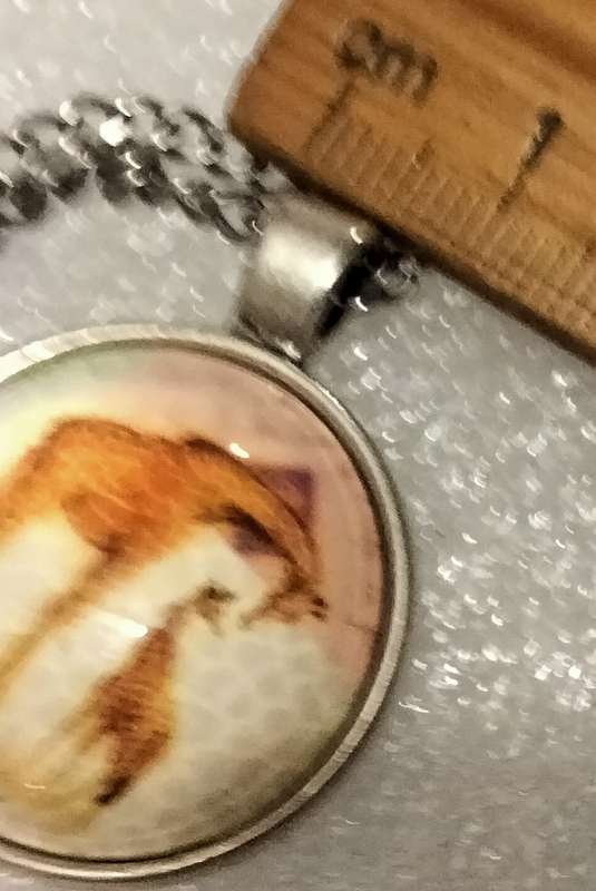 Necklace  image of Giraffe+Baby behind Clear Dome front metal back Pendant+silver tone metal chain