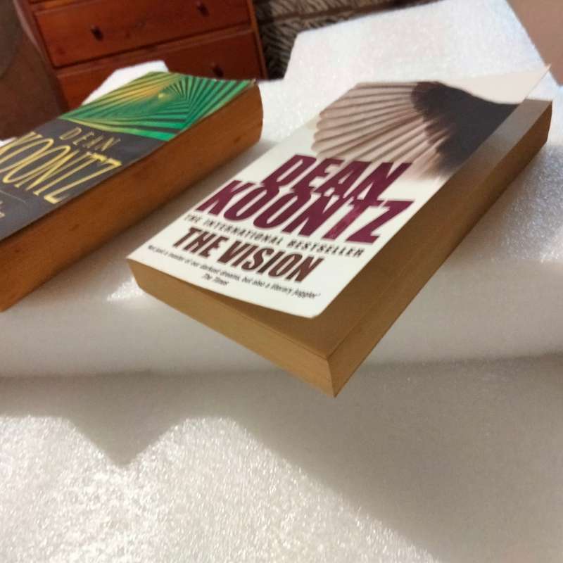 Book Author DEAN KOONTZ INTENSITY edition PB 1986+THE VISION this Edition 2007 soft cover Pre-owned