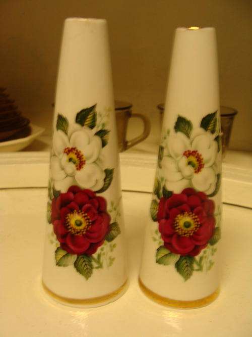 2 BEAUTIFUL-ENGLISH  BONE CHINA SALT & PEPPER POT