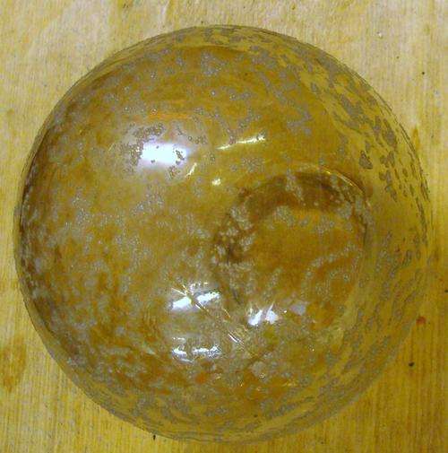 EXQUSITE   GLASS LAMP SHADE -1-FROSTED BITS* l@@Kat LOTS PICTURES