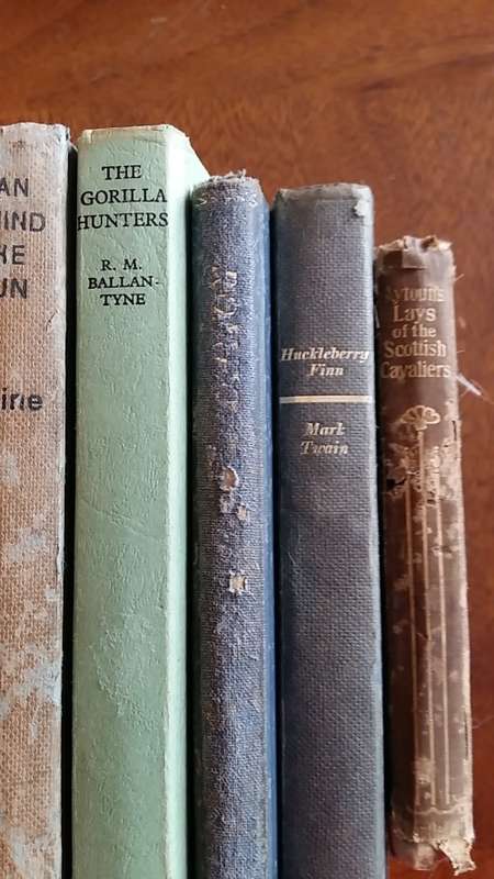 SET OF OLD VINTAGE AND ANTIQUE BOOKS FOR DECOR