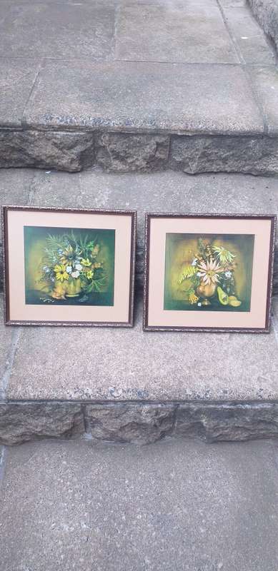 Pair of Beautiful Botanical Prints