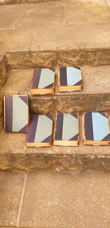 Set of 6 Antique Books on the Classics