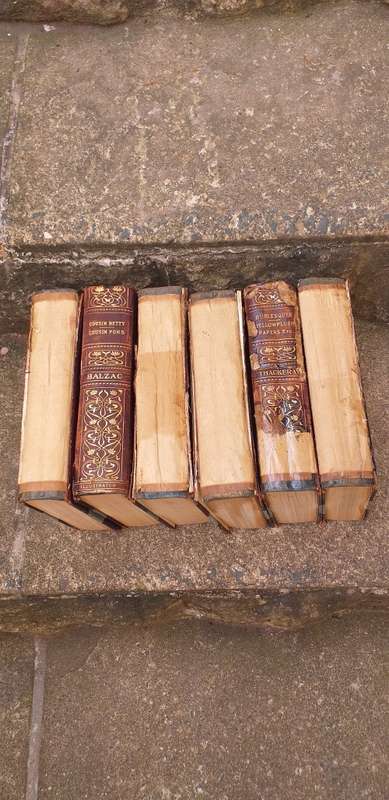 Set of 6 Antique Books on the Classics