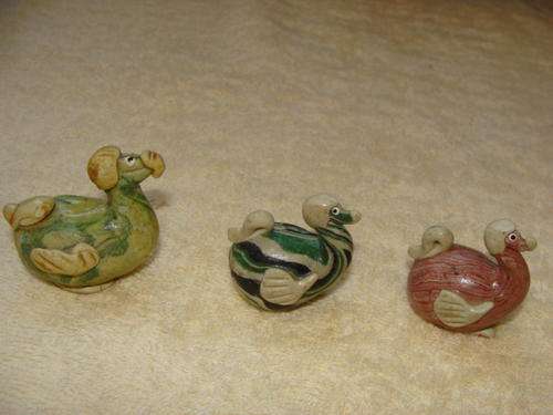 Trio of Dodos