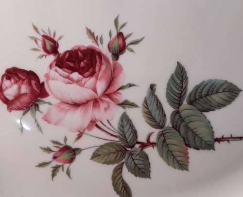 CAKE PLATE  DIAMETER  :27 CM  CONSTANTIA R.S.A.