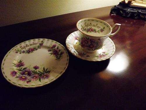 ROYAL ALBERT -SEPTEMBER - TEA TRIO - FLOWER OF THE MONTH SERIES -MICHAELMAS DAISY - BEAUTIFUL!