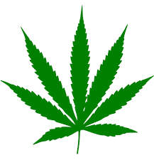 Cannabis Domains www.kanniebos.co.za & www.enjoint.co.za
