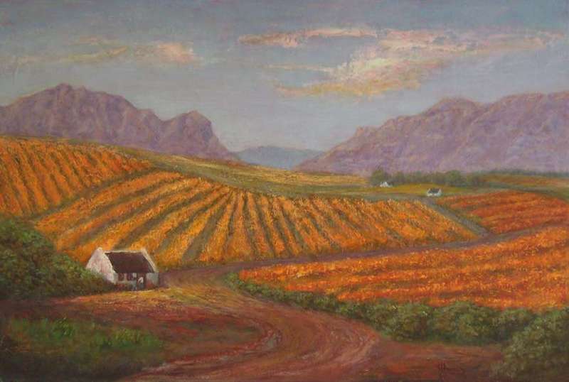 Rolling Vineyards - Large oil on thick, prepared board 750 x 500 mm