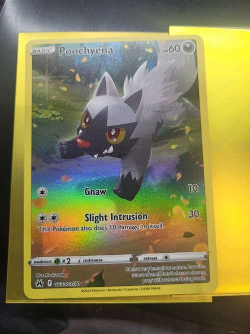 POKEMON*CROWN ZENITH*POOCHYENA*GG33/GG70