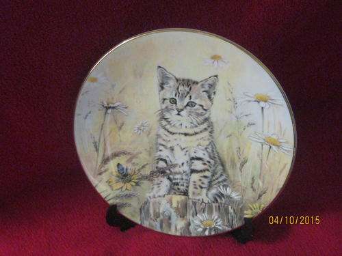 Royal Worcester Kitten Classics "Tigers Fancy" Plate 5 of 5