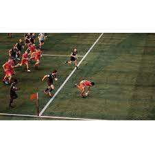 Rugby Challenge 4 (Xbox One/Xbox Series X)