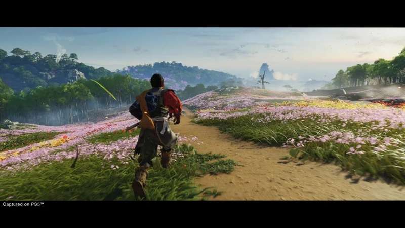 Ghost of Tsushima - Director`s Cut (PS4)