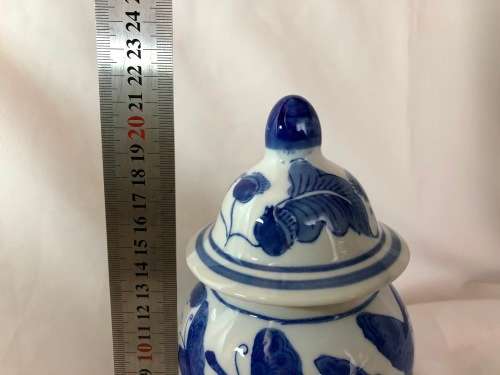 Stunning Genuine Ming Blue and White Butterfly and Floral Design Porcelain Vase with Lid