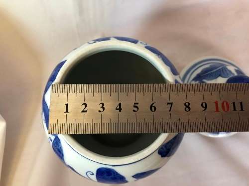 Stunning Genuine Ming Blue and White Butterfly and Floral Design Porcelain Vase with Lid