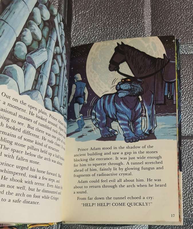 He-Man Meets the Beast Book
