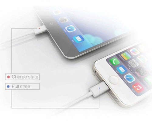 *LOCAL STOCK* 2-In-1 Magnetic Adapter Charger Cable For Iphone Ipad & Samsung Micro USB - Silver