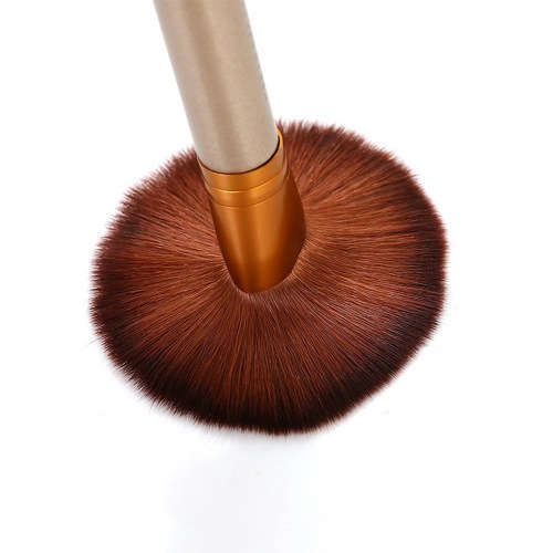 12 pcs Foundation Makeup Brushes Set-Champagne Unboxed