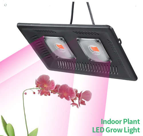 Waterproof 100W Full Spectrum COB LED Grow Light for Indoor Plants Unboxed