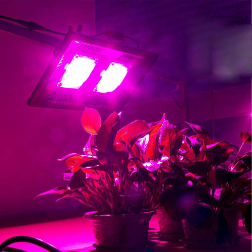 Waterproof 100W Full Spectrum COB LED Grow Light for Indoor Plants Unboxed
