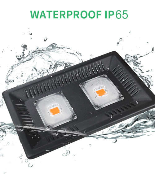 Waterproof 100W Full Spectrum COB LED Grow Light for Indoor Plants Unboxed