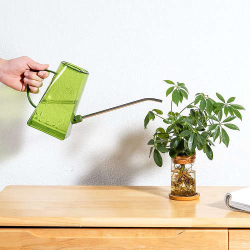 Long spout Watering Can Marked with Scale for Garden Plants and Flowers