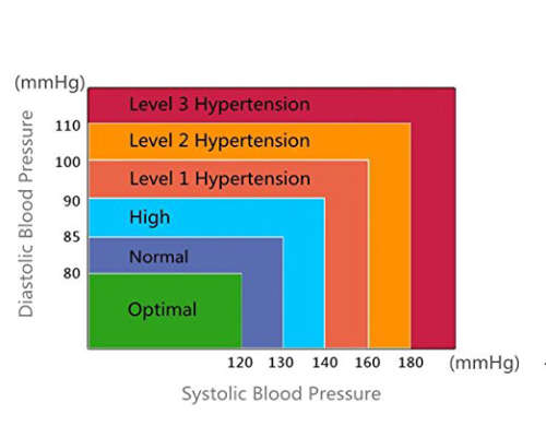 Automatic Wrist Blood Pressure Monitor with Portable Case, Two User Modes