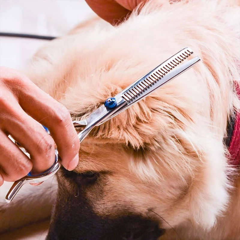 Professional 6 inch Pet Grooming Scissors Set With Storage Pouch - 5 Pieces