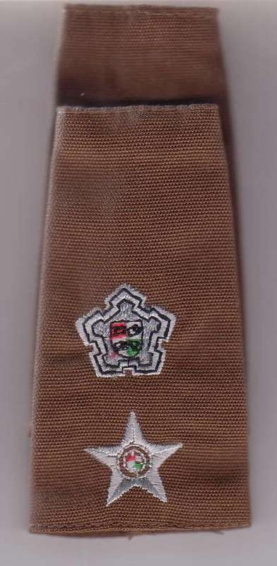 SA ARMY NUTRIA COMMADANT/LT COLONEL EPAULETTE RANK (PAIR)