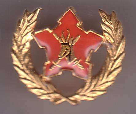 SA ARMY VOLUNTEER SERVICE AWARD - 5 YEAR SERVICE VOLUNTEERS & CITIZEN FORCE