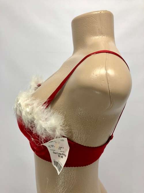 Size 34B sexy bra and panty set red