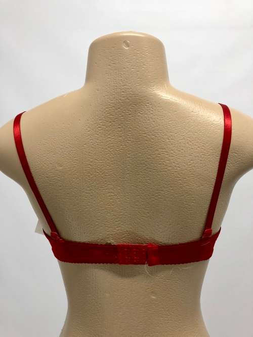 Size 34B sexy bra and panty set red