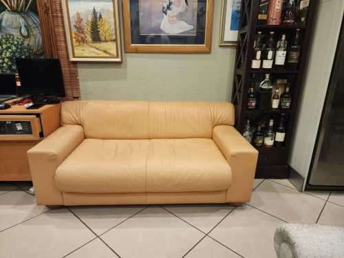 2 Seater Genuine Leather Couch