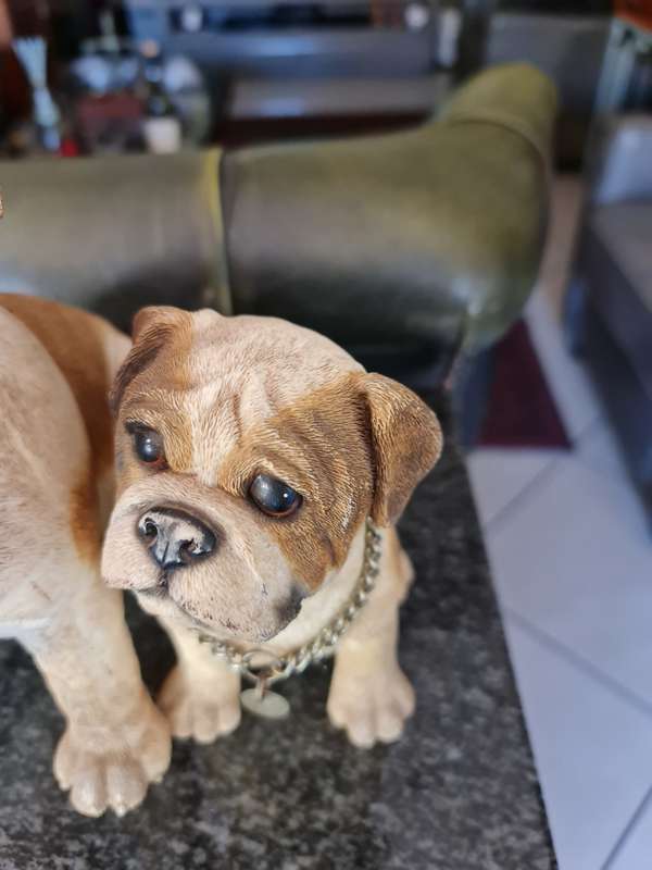 Leonardo Collection of a Bulldog and Puppy Ornament