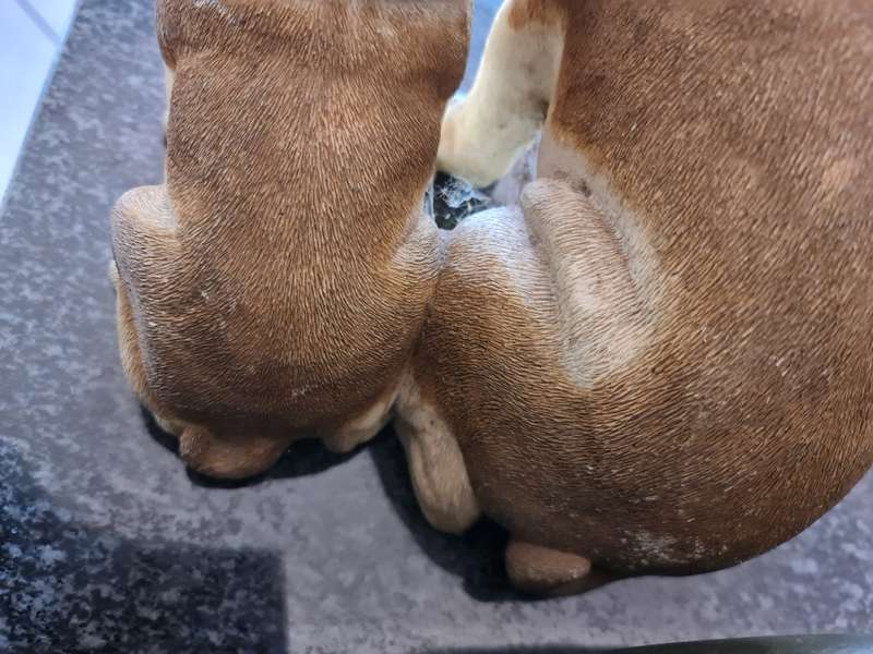 Leonardo Collection of a Bulldog and Puppy Ornament