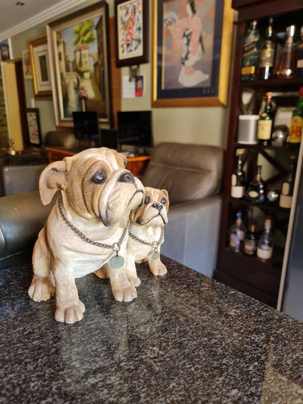 Leonardo Collection of a Bulldog and Puppy Ornament