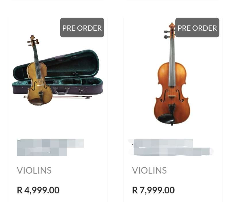 Violin