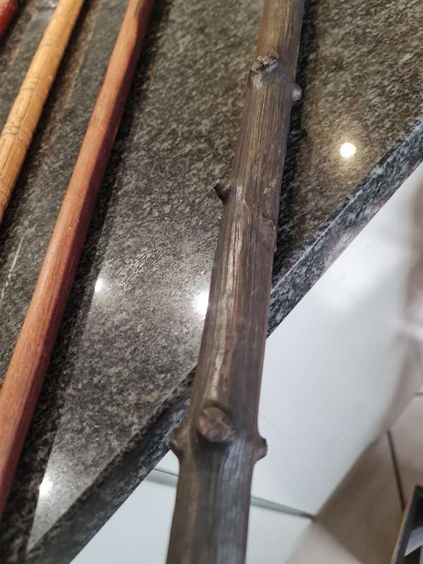 Rare Vintage Walking Sticks
