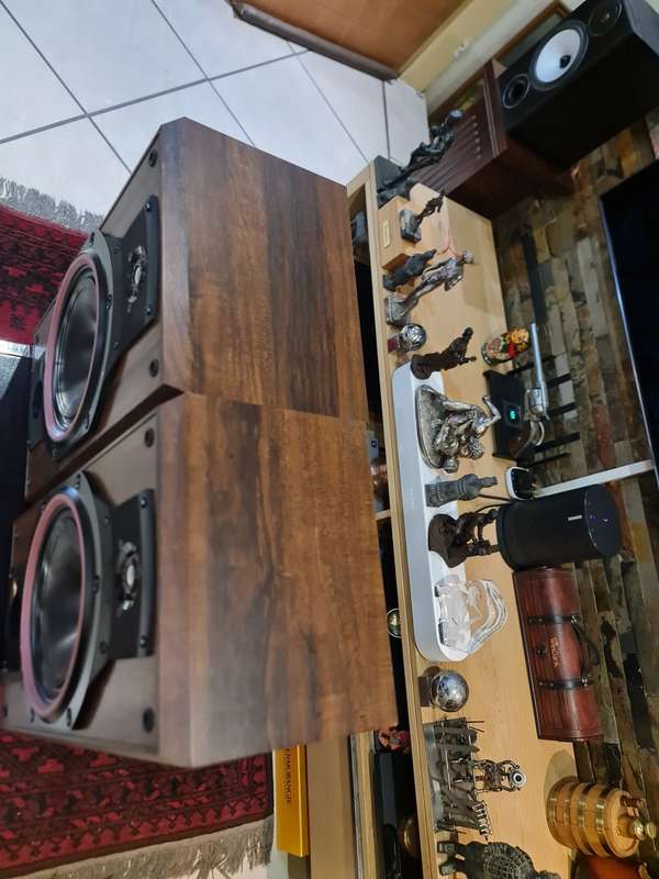 Bowers and Wilkins DM 310 Speakers