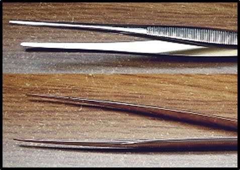 Keihl Straight Pointed Stamp Tongs - NEW - 15cm for delicate handling