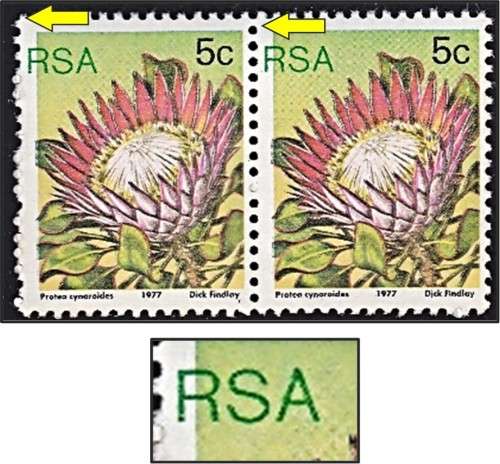 1977 RSA 5c Protea Pair MM(*) - MAJOR SHIFT OF RSA INTO MARGIN *** V/RARE ***