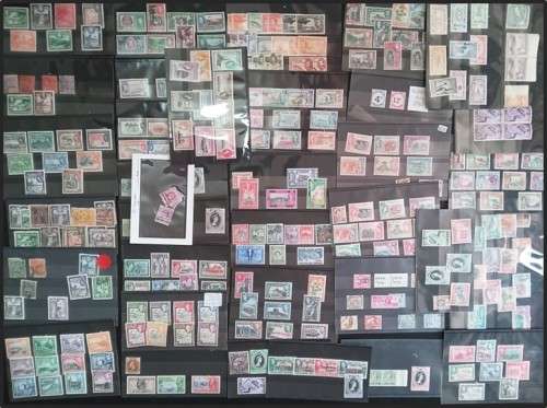Bulklot: Commonwealth Countries B to F  Mint/Used on Stock Cards