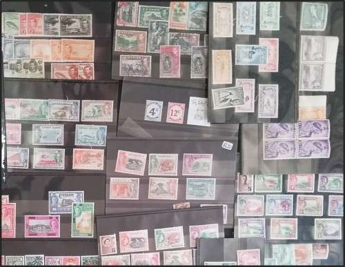 Bulklot: Commonwealth Countries B to F  Mint/Used on Stock Cards