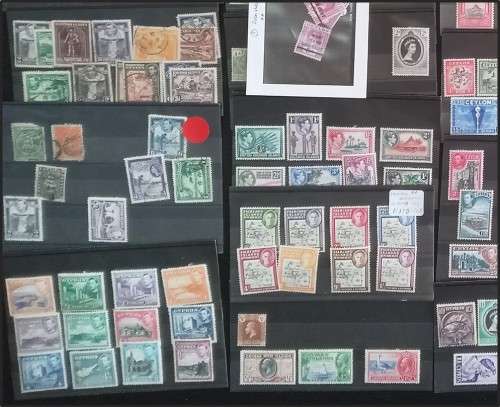 Bulklot: Commonwealth Countries B to F  Mint/Used on Stock Cards