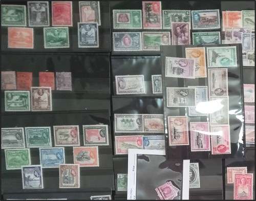 Bulklot: Commonwealth Countries B to F  Mint/Used on Stock Cards